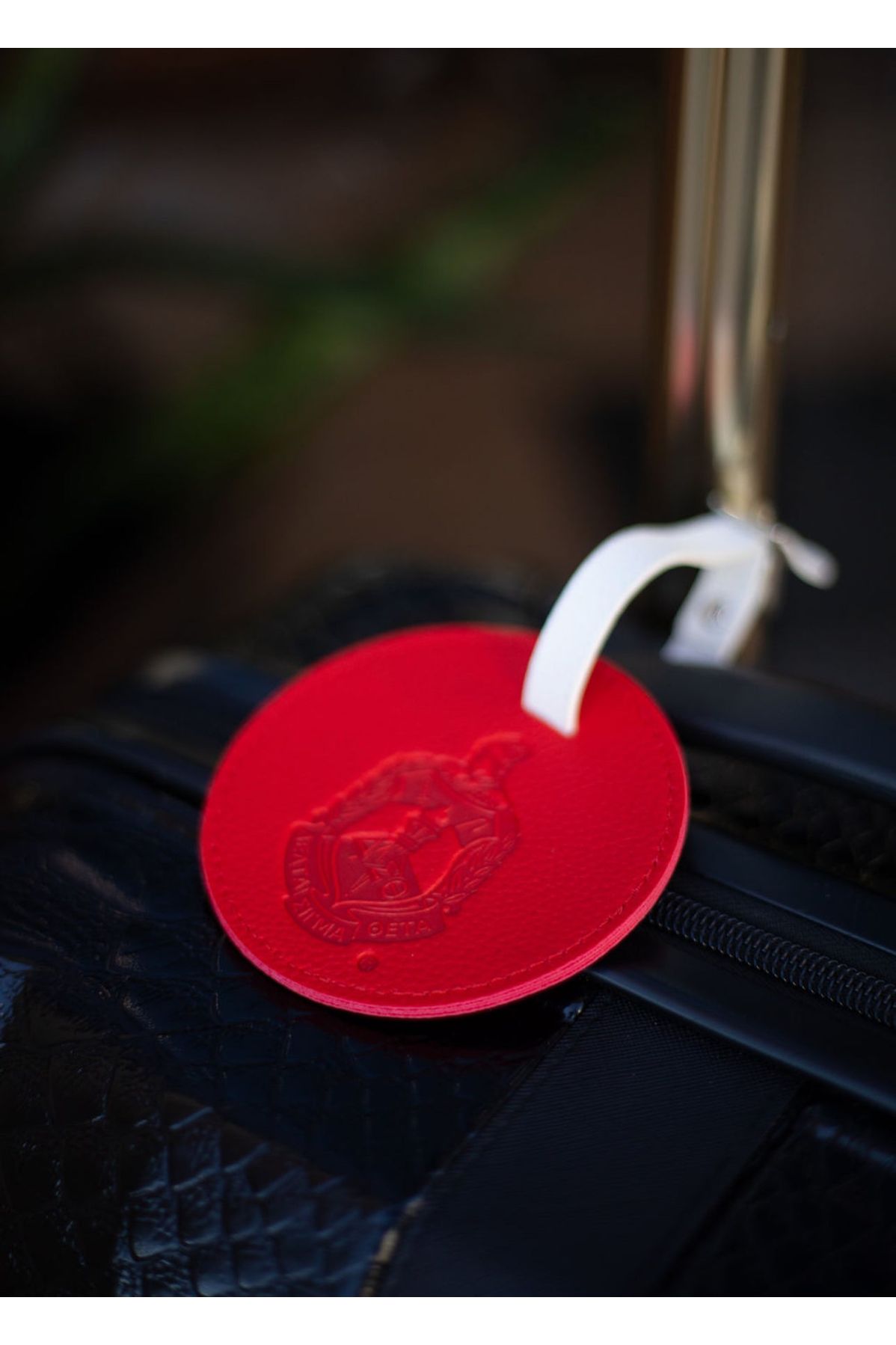 ΔΣθ Embossed Luggage Tag