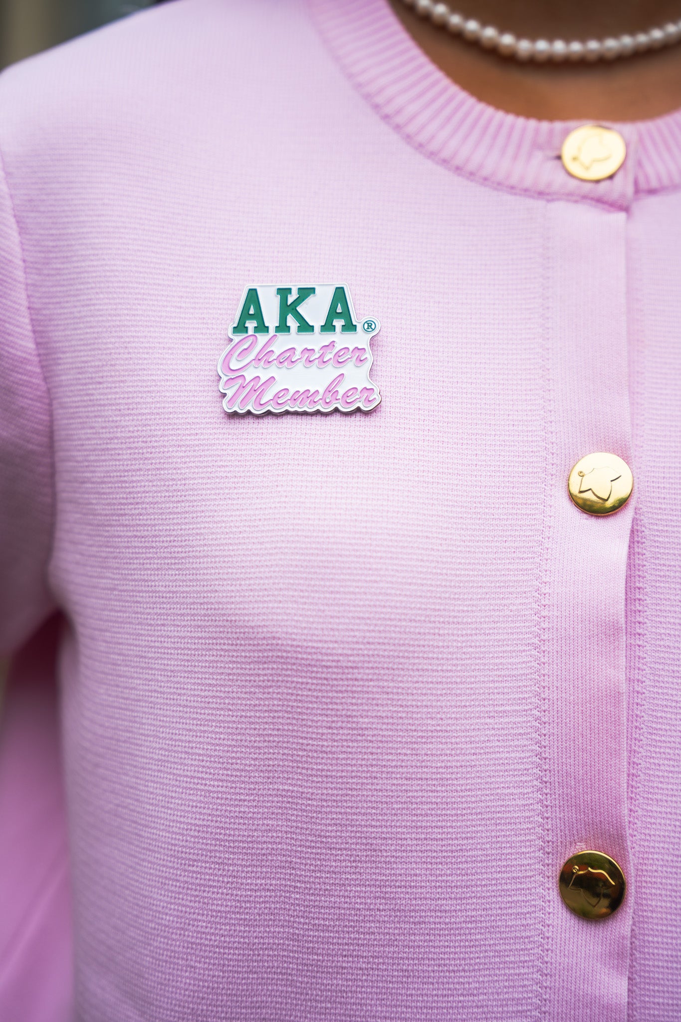 AKA Charter Member Lapel Pin