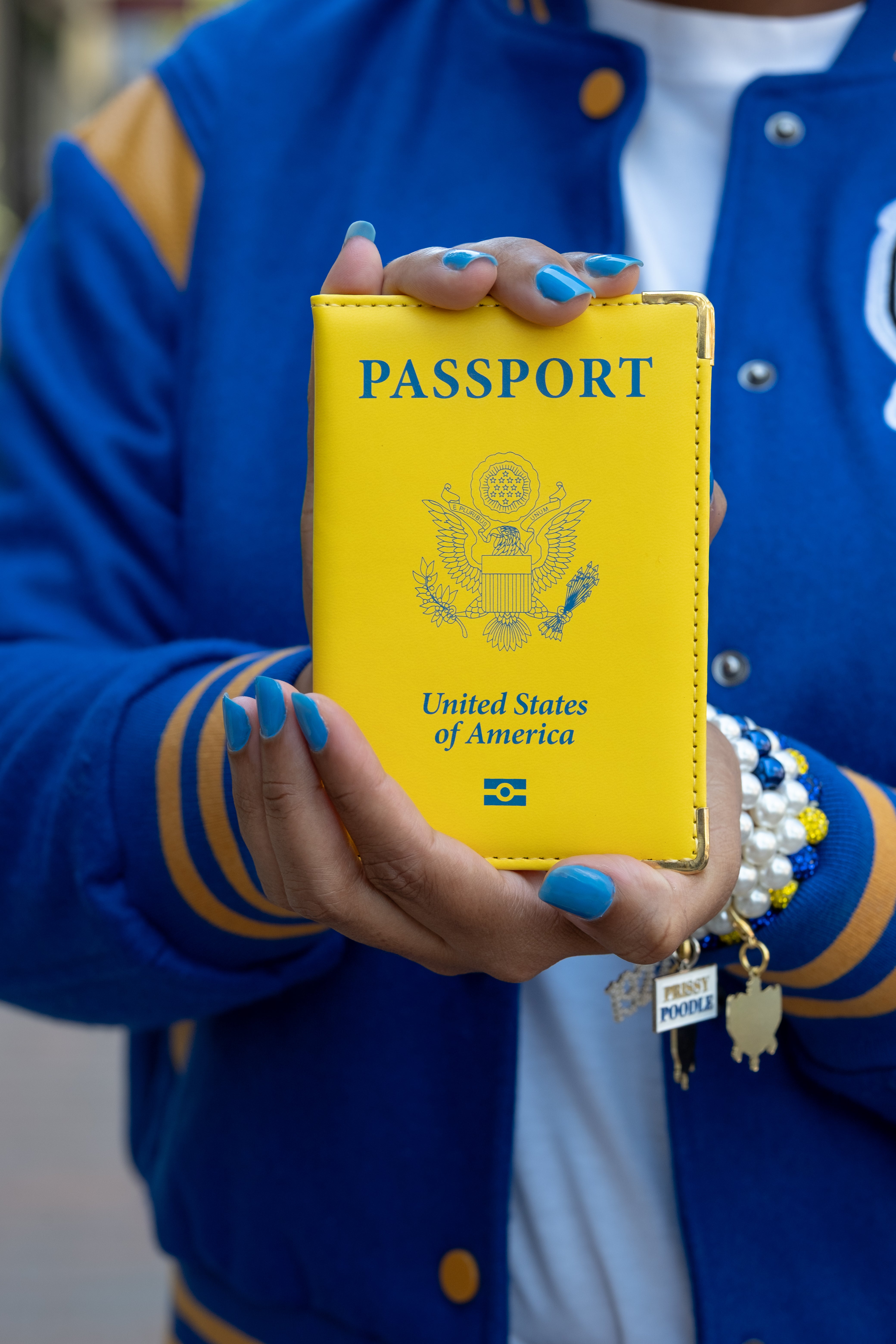 Gold and Blue Passport Cover