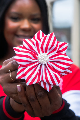 ΔΣΘ Striped Ribbon Pin