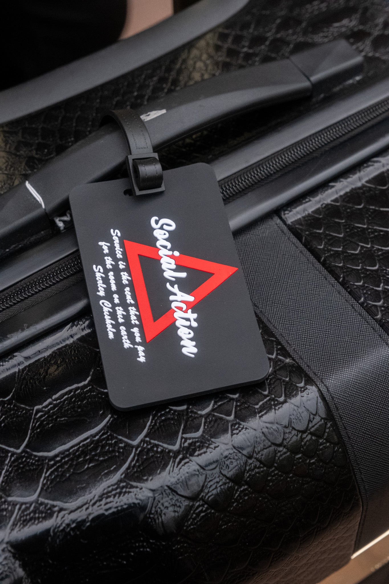 ΔΣΘ Social Action Luggage Tag