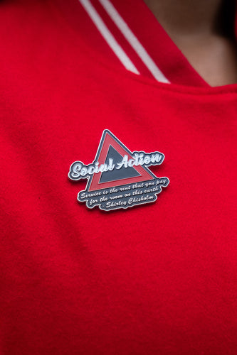 ΔΣΘ Social Action Lapel Pin