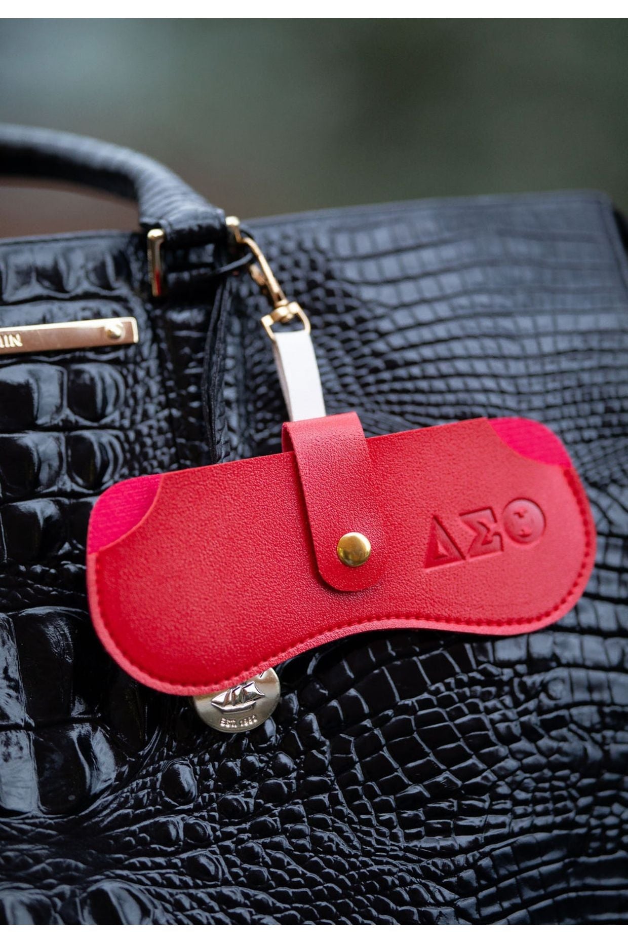 ΔΣΘ Eyeglass Case with Strap