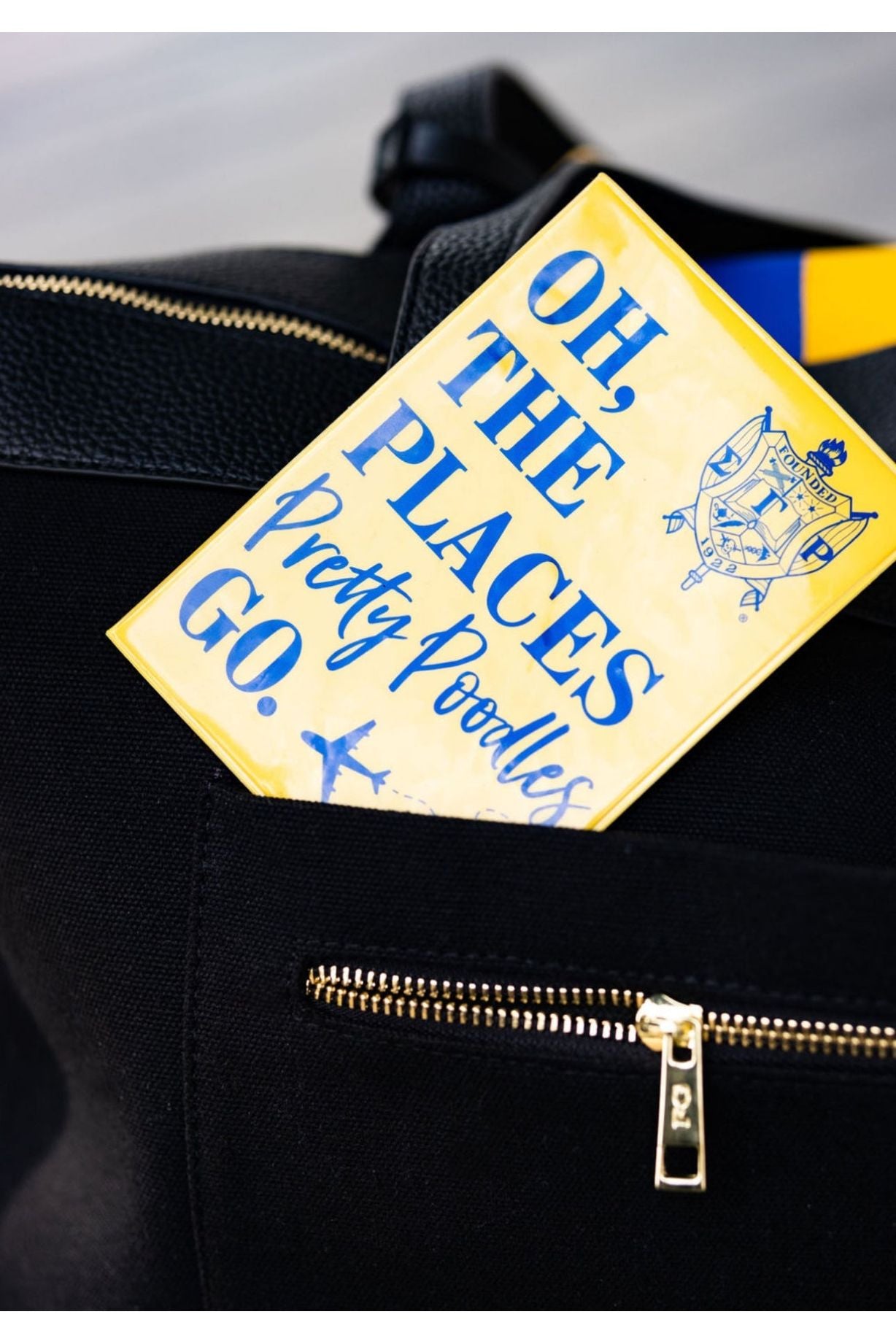 Oh The Places Pretty Poodles Go Passport Cover