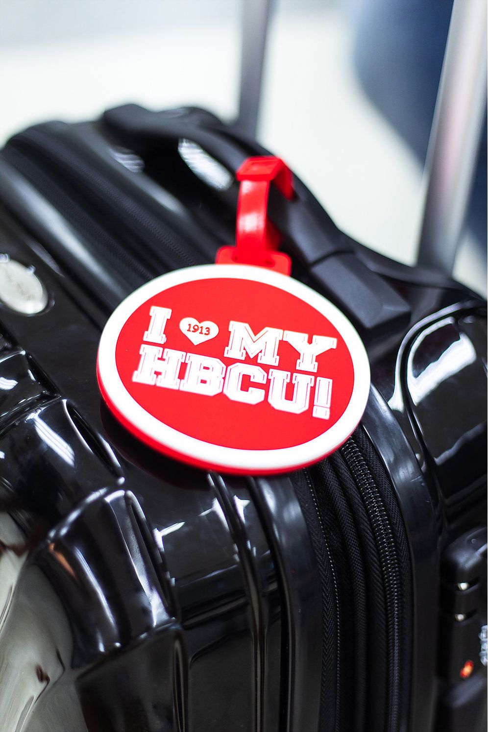 ΔΣΘ I Love My HBCU Luggage Tag